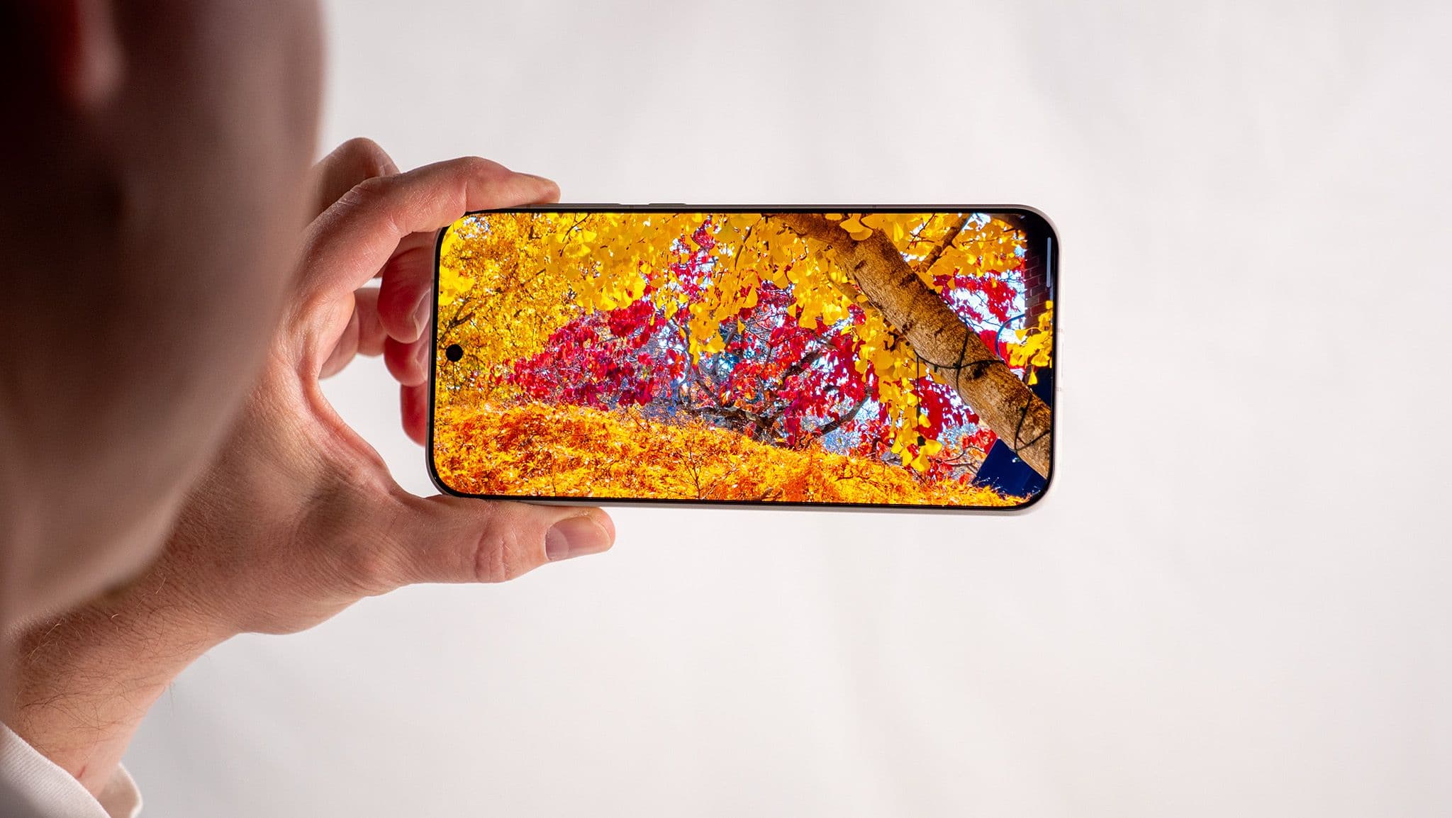 The OnePlus 15's Display: A New Standard in Smartphone Technology